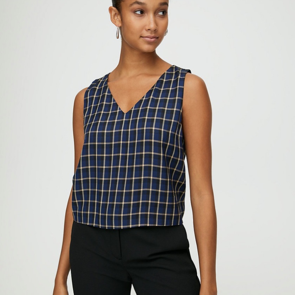 Aritzia Babaton Murphy Blouse